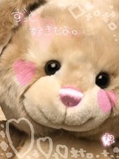 +K*肷*K+